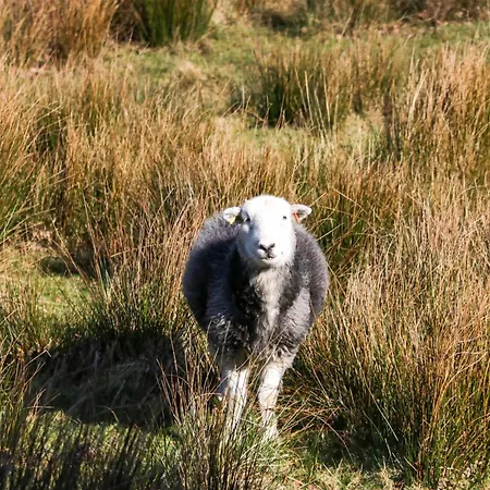 5 Waterside Wood Troutbeck Bridge