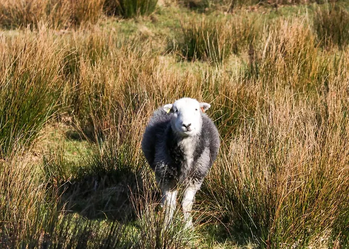 5 Waterside Wood Windermere