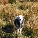 5 Waterside Wood Windermere